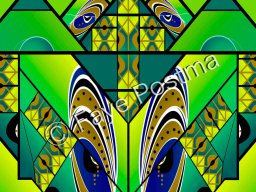 Enjoying My Northern Light Escapades I